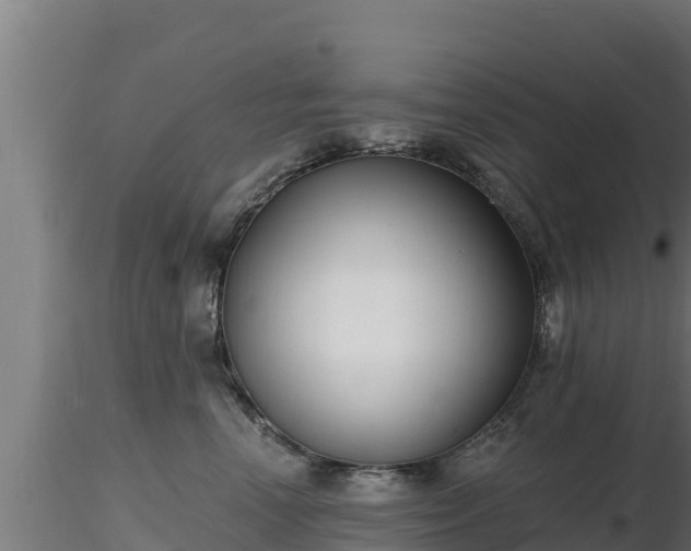 X0000116890666200912291304