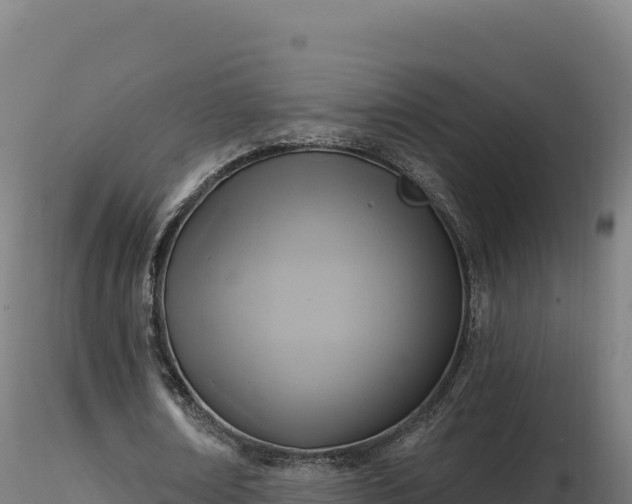 X0000116890674200912291304