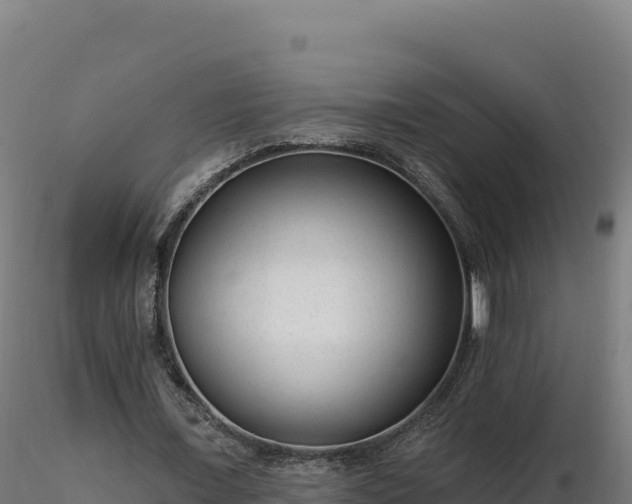 X0000116890675200912291304