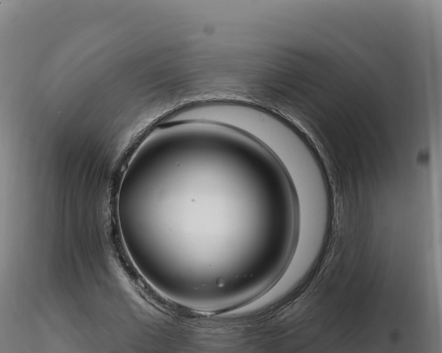 X0000116890677200912291304