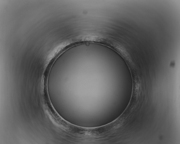 X0000116890678200912291304