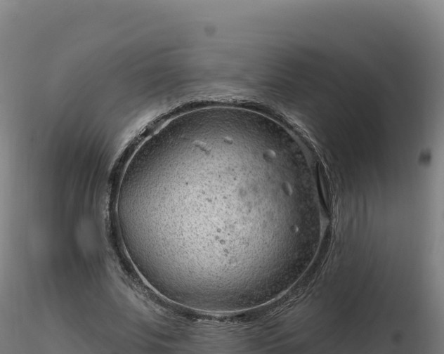 X0000116890679200912291304