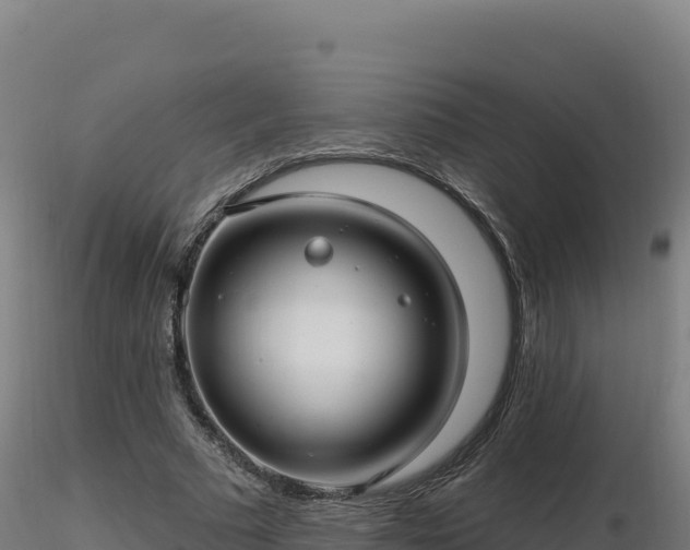 X0000116890681200912291304
