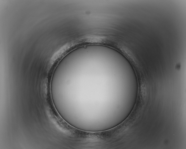 X0000116890682200912291303