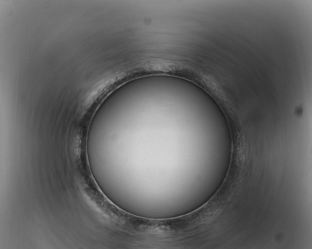 X0000116890683200912291303