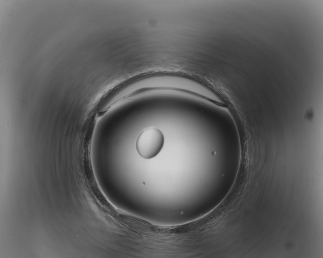 X0000116890684200912291303