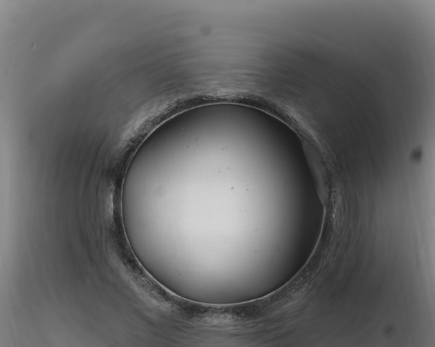 X0000116890685200912291303