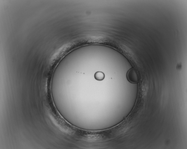X0000116890686200912291303