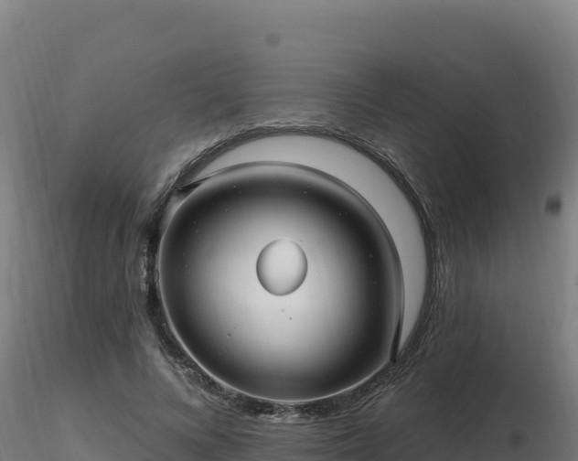 X0000116890688200912291303