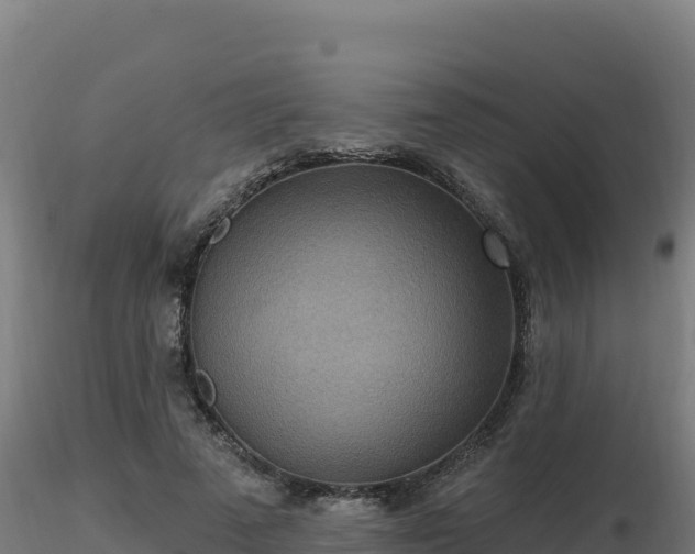 X0000116890689200912291303