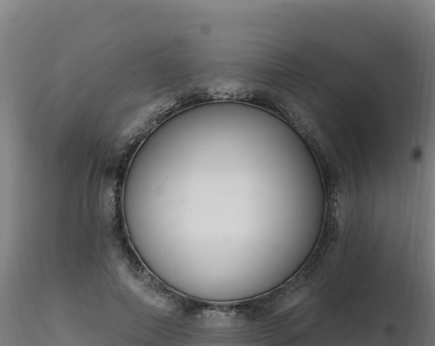X0000116890690200912291303