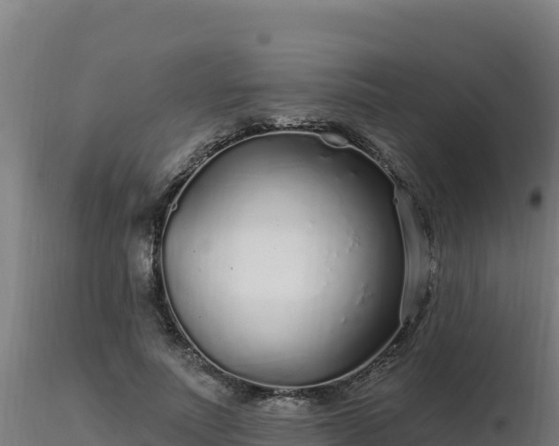 X0000116890691200912291303