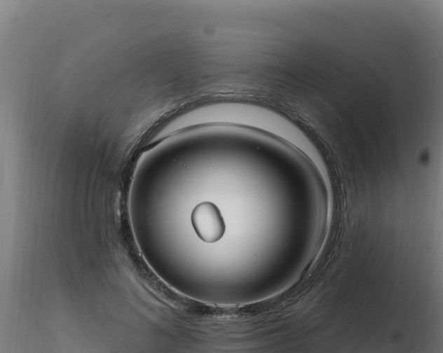 X0000116890692200912291303