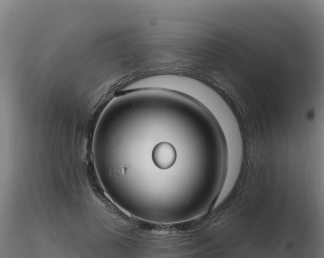 X0000116890693200912291303