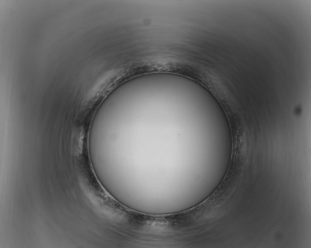 X0000116890694200912291303