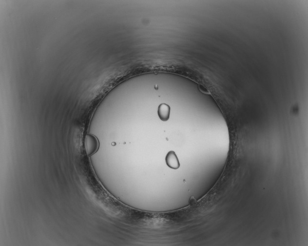 X0000116890695200912291303