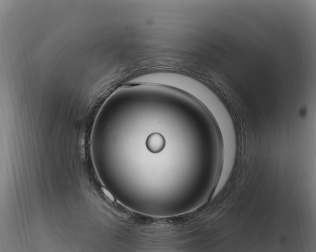 X0000116890696200912291303