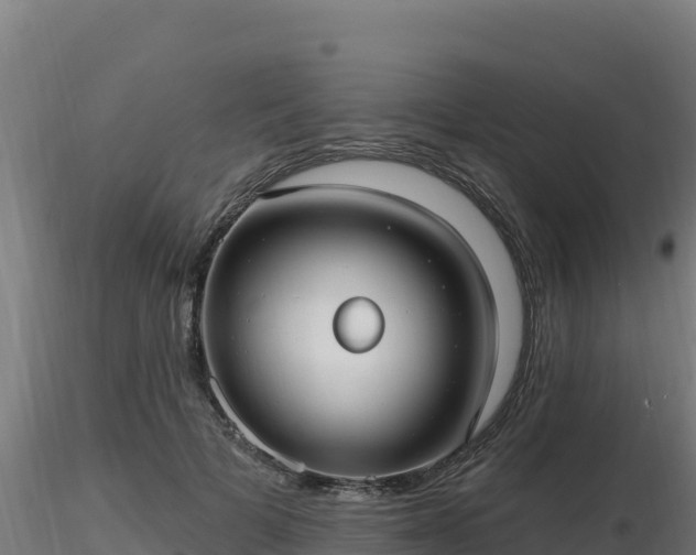 X0000116890697200912291303