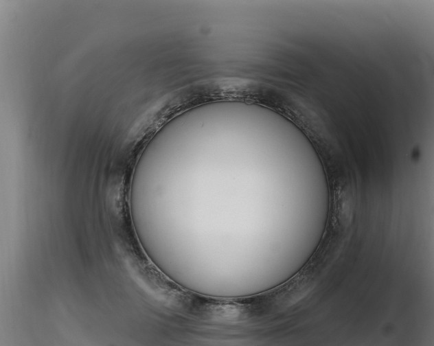 X0000116890698200912291303