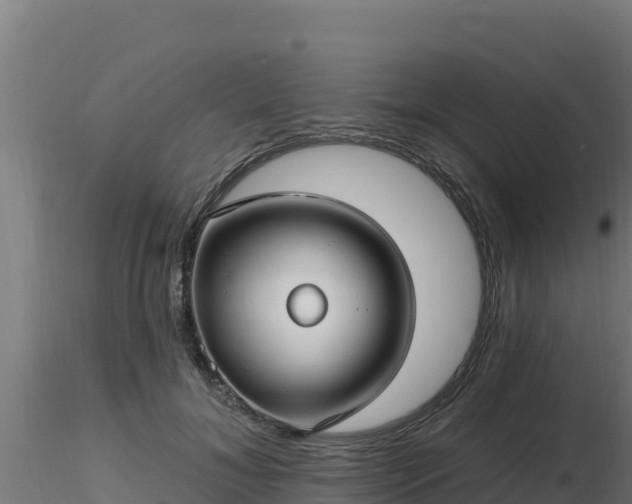X0000116890700200912291303