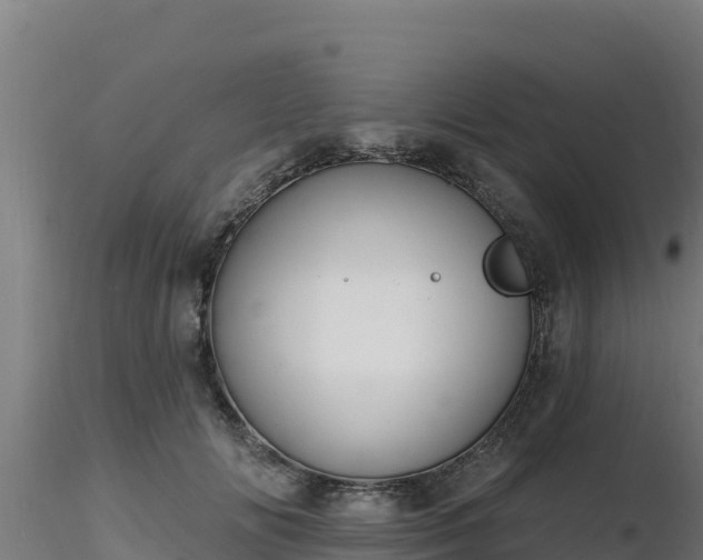 X0000116890702200912291303