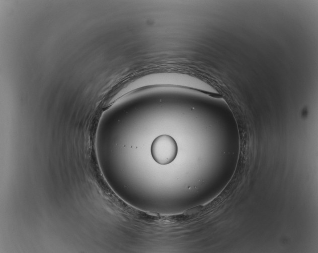 X0000116890704200912291303