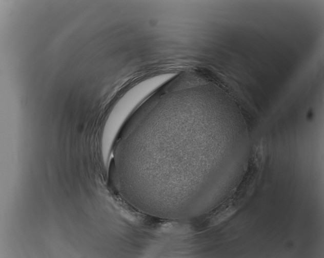 X0000116890708200912291303