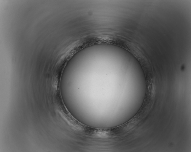 X0000116890710200912291303