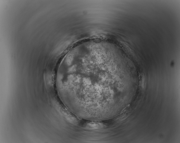 X0000116890712200912291303