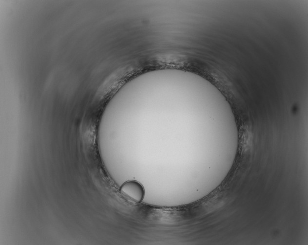 X0000116890713200912291303
