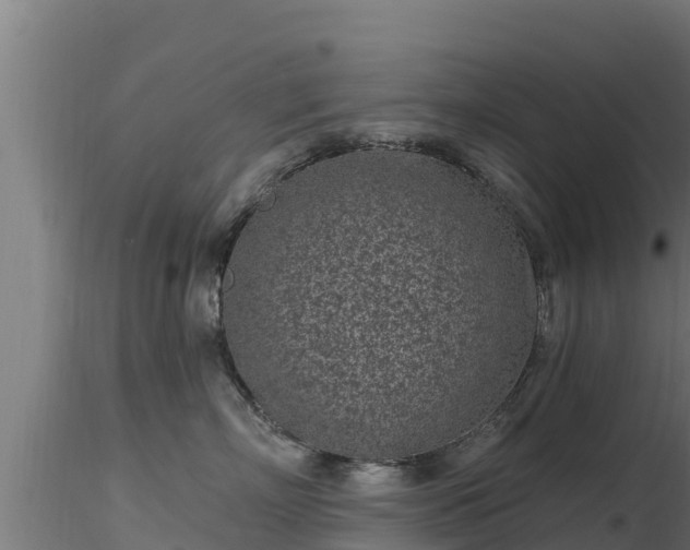 X0000116890718200912291303