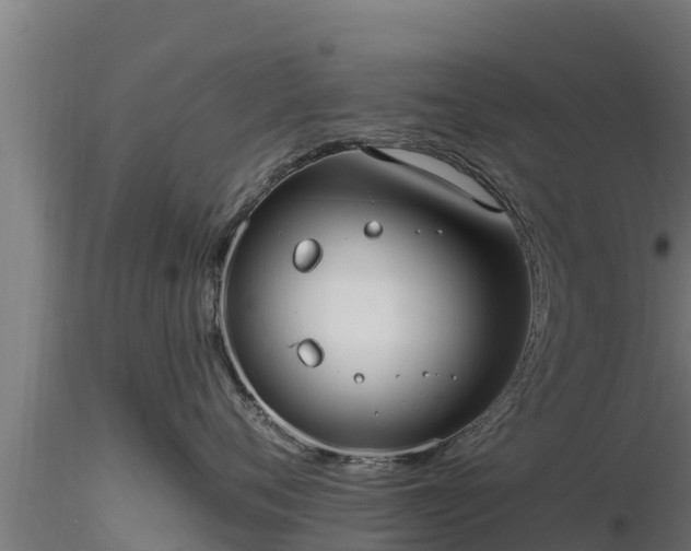 X0000116890720200912291303