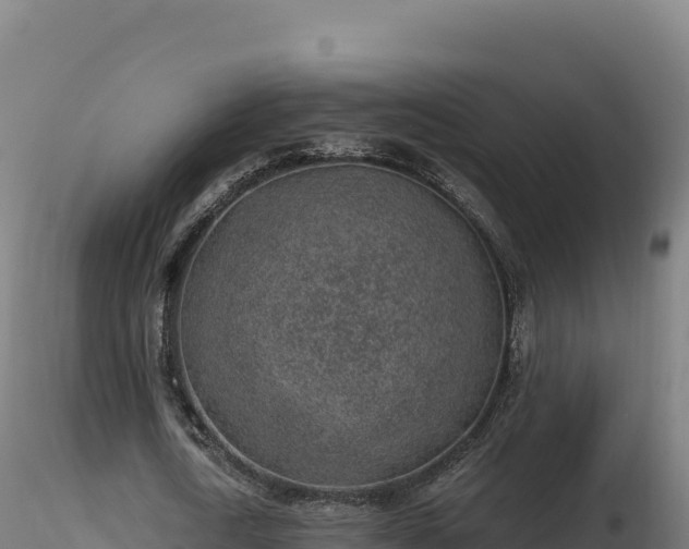 X0000116890722200912291302