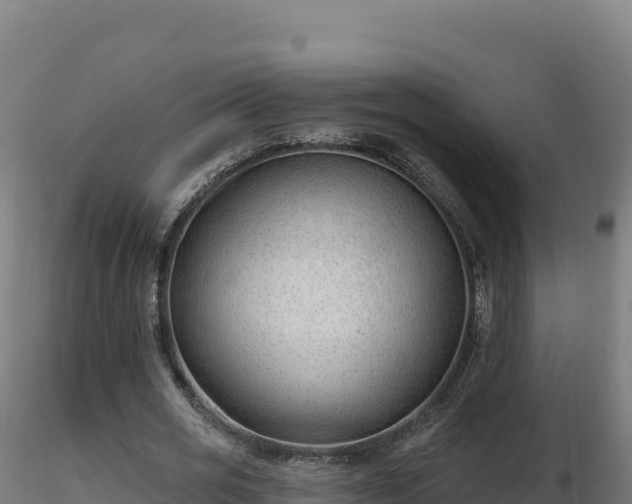 X0000116890725200912291302