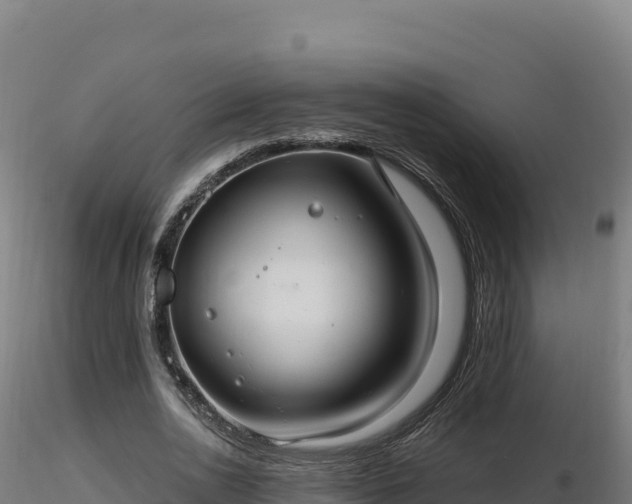 X0000116890726200912291302