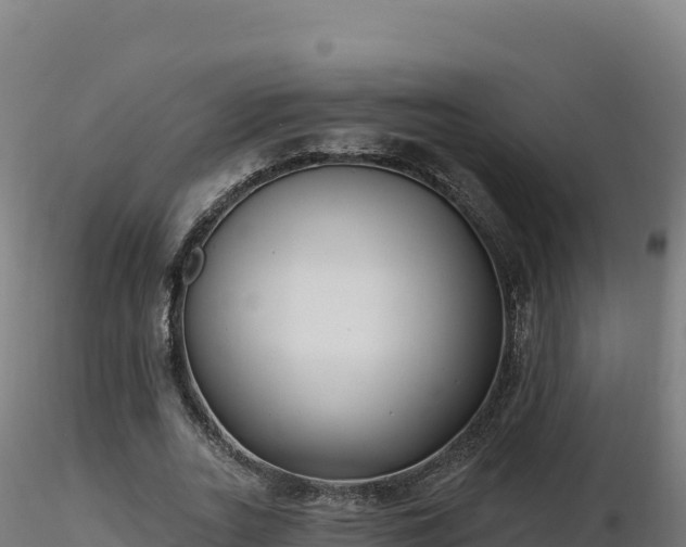 X0000116890727200912291302