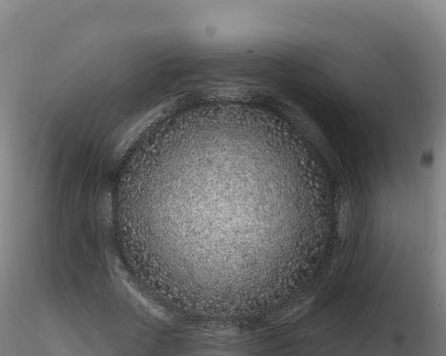 X0000116890729200912291302