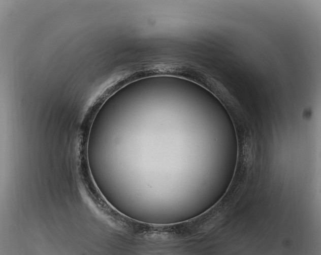 X0000116890730200912291302