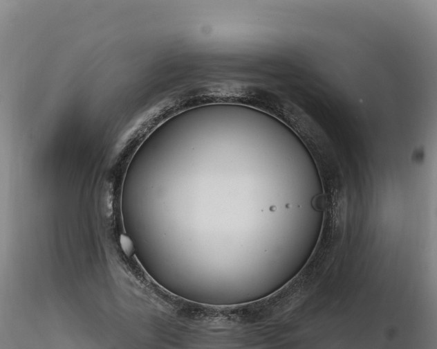 X0000116890731200912291302