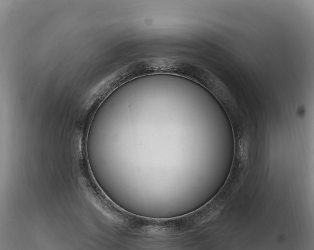 X0000116890733200912291302