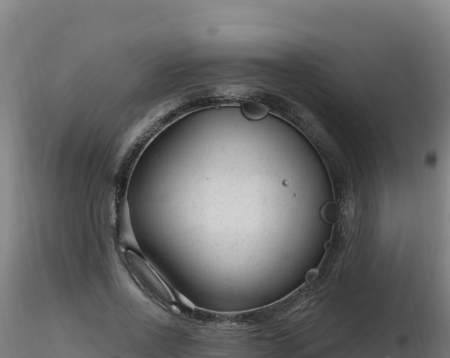 X0000116890734200912291302