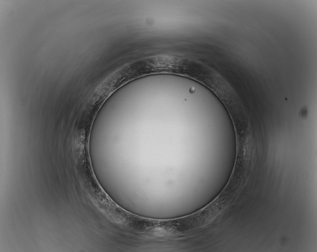 X0000116890737200912291303