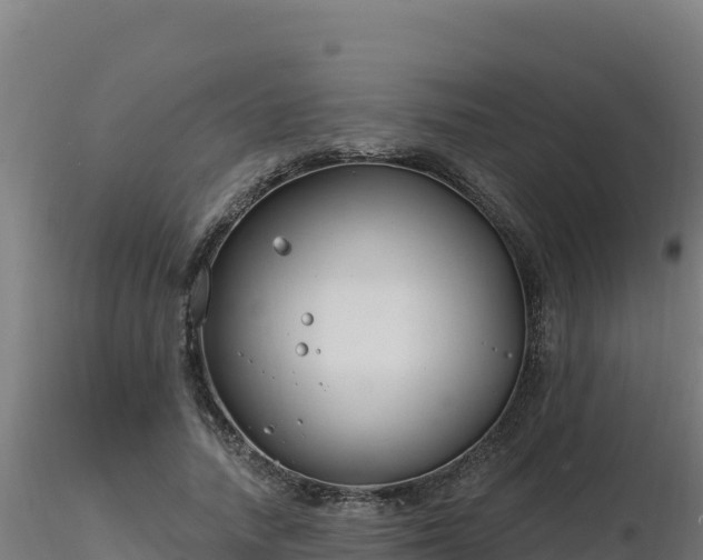 X0000116890738200912291303