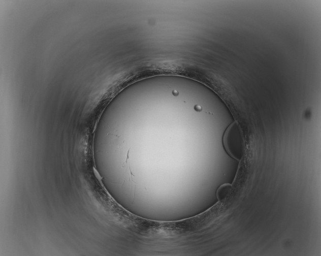 X0000116890739200912291303