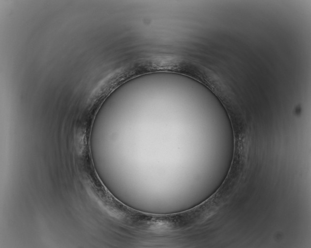 X0000116890741200912291303
