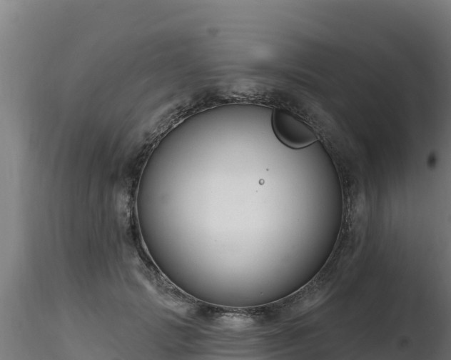 X0000116890749200912291303