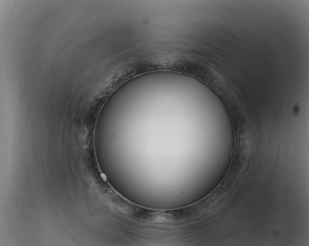 X0000116890750200912291303