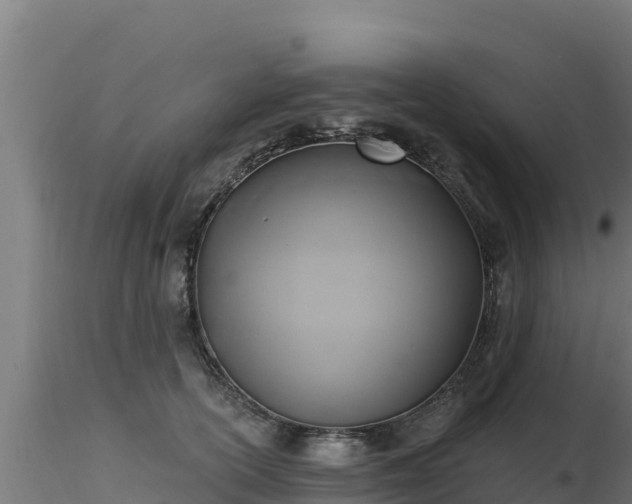 X0000116890754200912291303