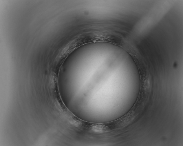 X0000116890757200912291303