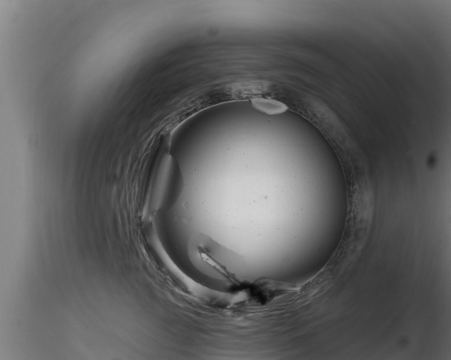 X0000116890761200912291303